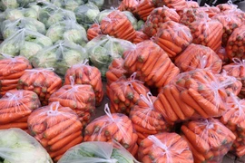 Xây dựng quy chuẩn cho các phương tiện chở hàng từ vùng dịch 