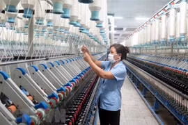 'Tháo gỡ vướng mắc trong cổ phần hóa các doanh nghiệp nhà nước'