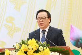 Đồng chí Hoàng Bình Quân, Trưởng Ban Đối ngoại Trung ương báo cáo tại hội nghị. (Ảnh: TTXVN)