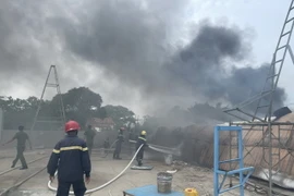 Bình Dương: Kịp thời dập tắt đám cháy gần khu dân cư