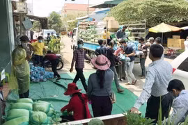 Vận chuyển gạo hỗ trợ cho cộng đồng người gốc Việt tại tỉnh Prey Veng. (Ảnh: Trần Long/TTXVN)