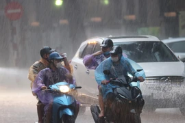 Ảnh minh họa. (Ảnh: Dương Giang/TTXVN)