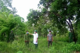 Đắk Lắk: Xử lý đối tượng vi phạm quy chế về khu vực biên giới