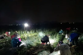 Hải Dương: Những hành động đẹp giữa tâm dịch bệnh COVID-19