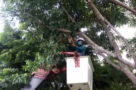 Người dân ở Quảng Nam không ra đường sau 20 giờ hôm nay để tránh bão