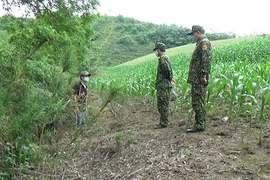 Bộ đội Biên phòng Lào Cai bắt giữ hai trường hợp nhập cảnh trái phép