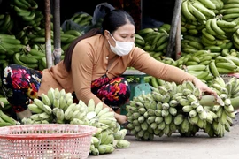Tiểu thương tại Chợ phường 7, thành phố Cà Mau thực hiện mang khẩu trang để phòng, chống dịch COVID-19. (Ảnh: Kim Há/TTXVN)