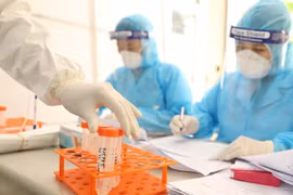 Các mẫu được lấy gộp 10 cho lần xét nghiệm. (Ảnh: Minh Quyết/TTXVN)