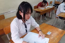 Tạm dừng tổ chức kỳ thi và khảo sát tuyển sinh đầu cấp tại TP.HCM