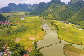 [Photo] Mùa lúa chín vàng trên cánh đồng Trùng Khánh ở Cao Bằng