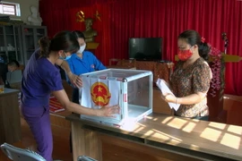 Bầu cử: Cử tri tham gia bỏ phiếu phải sử dụng bút, thước riêng 