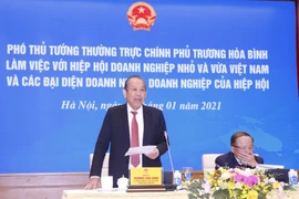 Phó Thủ tướng Thường trực Chính phủ Trương Hòa Bình phát biểu. (Ảnh: Doãn Tấn/TTXVN)