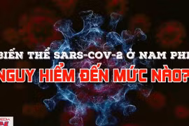 Biến thể SARS-CoV-2 ở Nam Phi nguy hiểm đến mức nào?