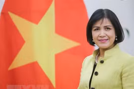 Việt Nam đánh giá cao vai trò quan trọng của Trung tâm phương Nam
