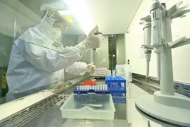 Xét nghiệm sàng lọc SARS-CoV-2. (Ảnh: TTXVN)