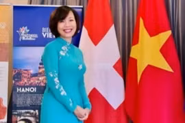 Đại sứ Việt Nam tại Thụy Sĩ Lê Linh Lan. (Ảnh: Tố Uyên/TTXVN)