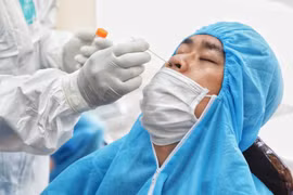 (Ảnh: Thành Đạt/TTXVN)