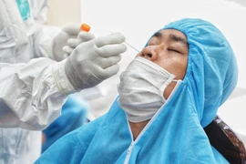 (Ảnh: Thành Đạt/TTXVN)