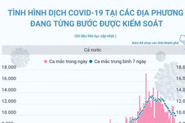[Infographics] Tình hình dịch COVID-19 của các địa phương