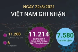 [Infographics] Việt Nam có tổng cộng hơn 348.000 ca mắc COVID-19