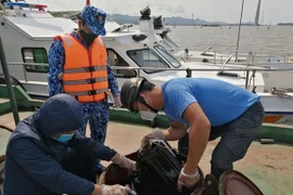 Quảng Nam: Phát hiện tàu chờ dầu không hóa đơn, chứng từ hợp pháp