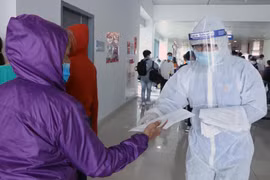 Lực lượng thanh niên hỗ trợ người dân. *Ảnh: Hoàng Ngọc/TTXVN)