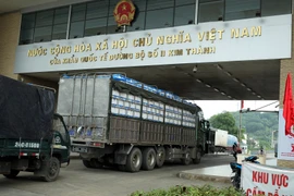 Trên 3.600 tấn quả vải tươi đã được xuất qua cửa khẩu quốc tế Lào Cai