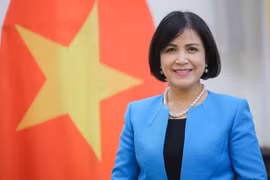 Việt Nam thúc đẩy ASEAN tham gia tích cực tại các tổ chức quốc tế