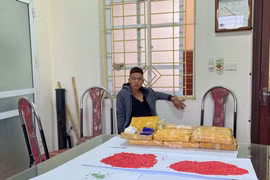 Công an tỉnh Lào Cai triệt phá chuyên án lớn, thu 72.000 viên ma túy