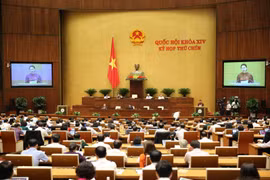 Quốc hôi phê chuẩn EVFTA và EVIPA trong phiên họp sáng 8/6. (Ảnh: Dương Giang/TTXVN)