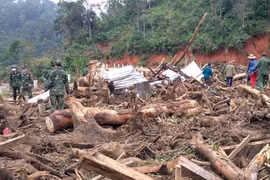 Lực lượng quân đội tiếp tục tìm kiếm các nạn nhân bị mất tích trong vụ sạt lở đất ở xã Phước Lộc, huyện Phước Sơn (Quảng Nam). (Ảnh: Trần Tĩnh/TTXVN)