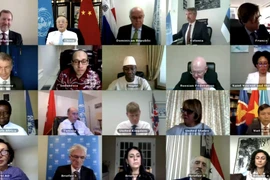 Việt Nam và các nước HĐBA tìm giải pháp cho cuộc khủng hoảng Yemen