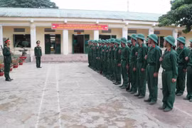 (Ảnh minh họa: Nguyễn Oanh/TTXVN)