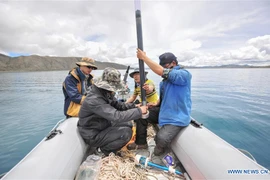 Trung Quốc thu được lõi trầm tích hồ trên cao nguyên Tây Tạng