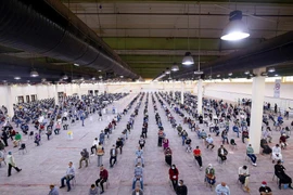 Người Ai Cập di cư bất hợp pháp tại Kuwait. (Nguồn: AFP)