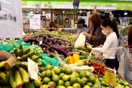 (Ảnh minh họa: Vũ Sinh/TTXVN)