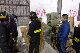 Triệt phá đường dây buôn lậu đặc biệt lớn qua biên giới với Trung Quốc
