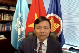 Việt Nam kêu gọi các bên liên quan ở Libya sớm nối lại hòa đàm