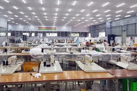 Thừa Thiên-Huế triển khai gia hạn thời gian nộp thuế và tiền thuê đất