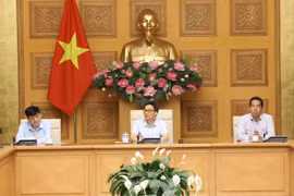 Phó Thủ tướng Vũ Đức Đam chủ trì cuộc họp. (Ảnh: Văn Điệp/TTXVN)