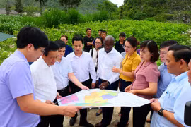Giám đốc Quốc gia WB tại Việt Nam và lãnh đạo tỉnh Hà Giang khảo sát dự án cải thiện nông nghiệp. (Ảnh: TTXVN phát)