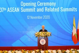 Asialink: Dấu ấn Việt Nam trong một năm hoạt động hiệu quả của ASEAN