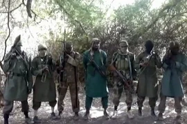 Phiến quân Boko Haram sát hại ít nhất 10 dân thường ở vùng Hồ Chad