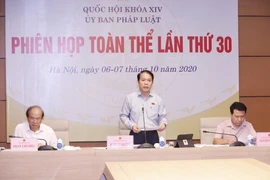 Chủ nhiệm Uỷ ban Pháp luật của Quốc hội Hoàng Thanh Tùng phát biểu. (Ảnh: Doãn Tấn/TTXVN)