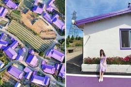 Đảo Tím mộng mơ - Địa điểm du lịch mới gây bão tại Hàn Quốc