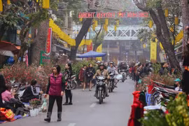 Mỗi dịp Tết đến Xuân về, những người nông dân lại rủ nhau về đây trưng bày đủ các loại hoa để bán. (Ảnh: Minh Sơn/Vietnam+)
