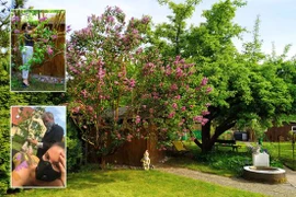 Nghệ sĩ Đức gây sốc với các màn ngụy trang bằng cách vẽ trên cơ thể