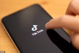 Người dùng lo TikTok sụp đổ do lượt "thích" video bất ngờ biến mất