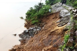 Ảnh minh họa. (Ảnh: Xuân Trường/TTXVN)