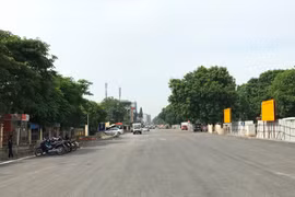 Hà Nội sẽ tiến hành chặt hạ, di chuyển 1.159 cây xanh trên trên tuyến đường Phạm Văn Đồng. (Ảnh: Việt Hùng/Vietnam+)